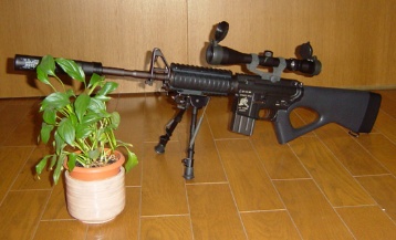 ���I���X�i�C�p�[���C�t���ɓ����