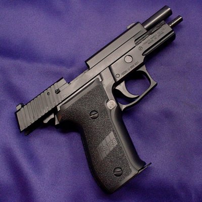 SIG P226 RAIL