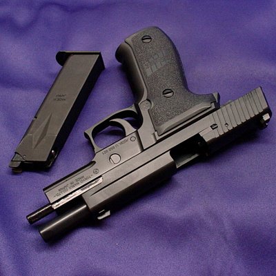 SIG P226 RAIL