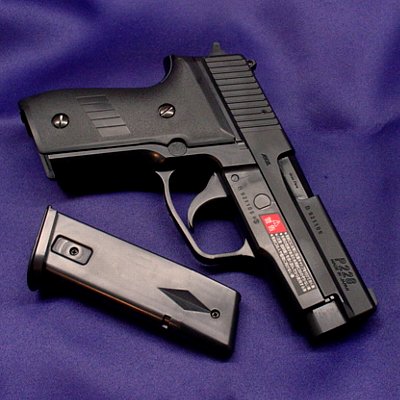 SIG P228