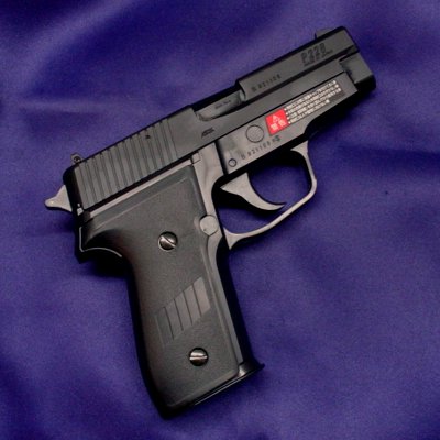 SIG P228