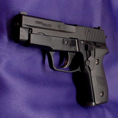 SIG P228