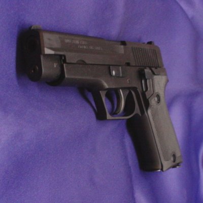 P220 ㎩qdl H.W.