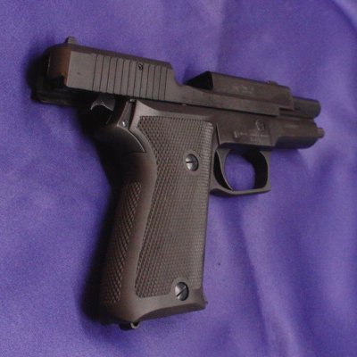P220 ㎩qdl H.W.