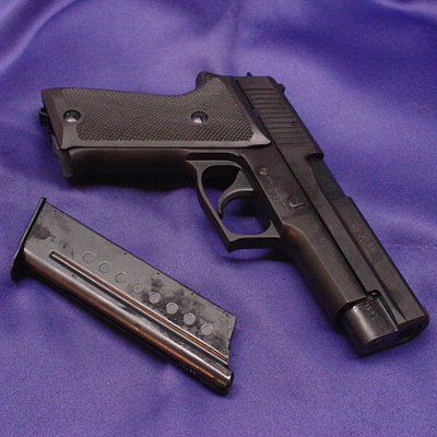P220 ㎩qdl H.W.